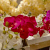 BOS903L Butterfly Orchid Spray - Image 2