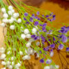 BBB101L Baby Breath White - Image 2