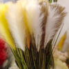 SPS705 Pampas Spray Cocoa - Image 4