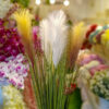SPS101 Pampas Spray White - Image 5