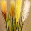 SPS705 Pampas Spray Cocoa - Image 2