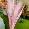 ACF302L Artificial Chicken Feather Pink - Image 3