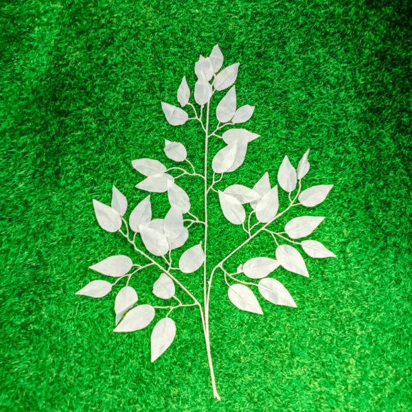 SCL101L Silver Coin Leaf White