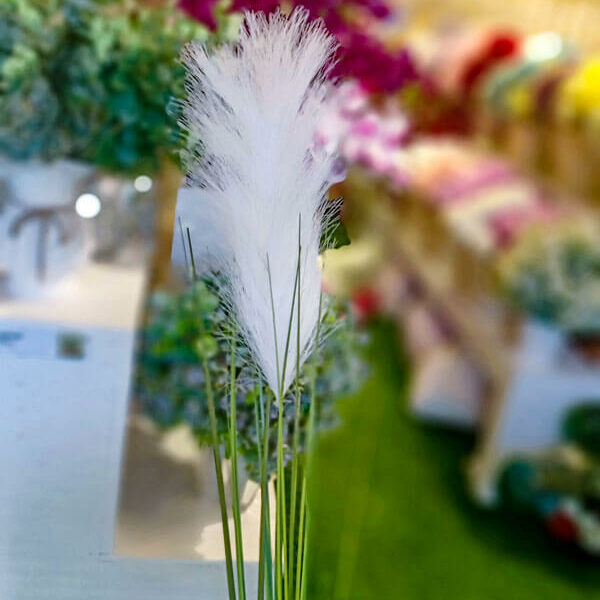 SPS101 Pampas Spray White
