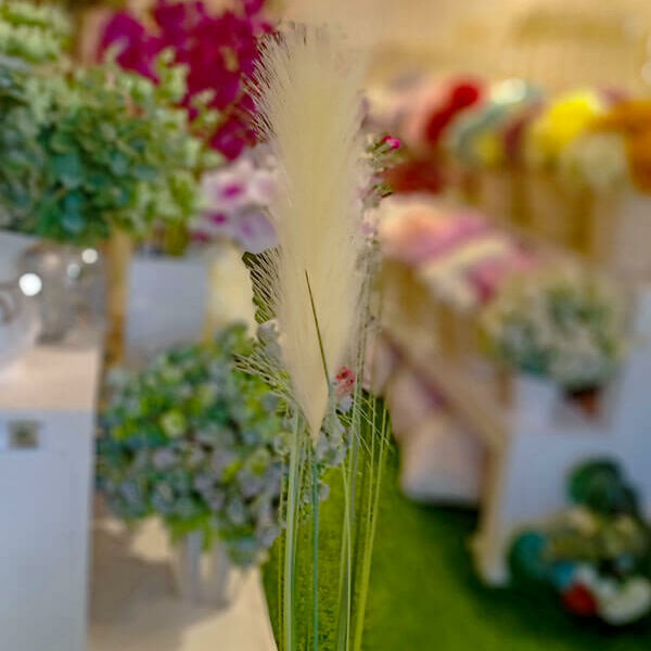 SPS402 Pampas Spray Peach