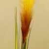 SPS705 Pampas Spray Cocoa