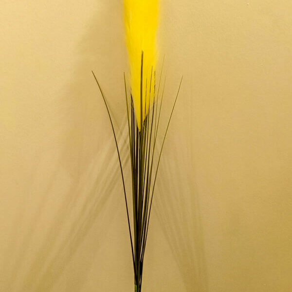 SPS805 Pampas Spray Yellow