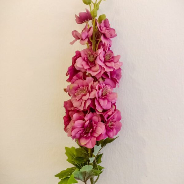 MTL102L Premium Matthiola Maroon