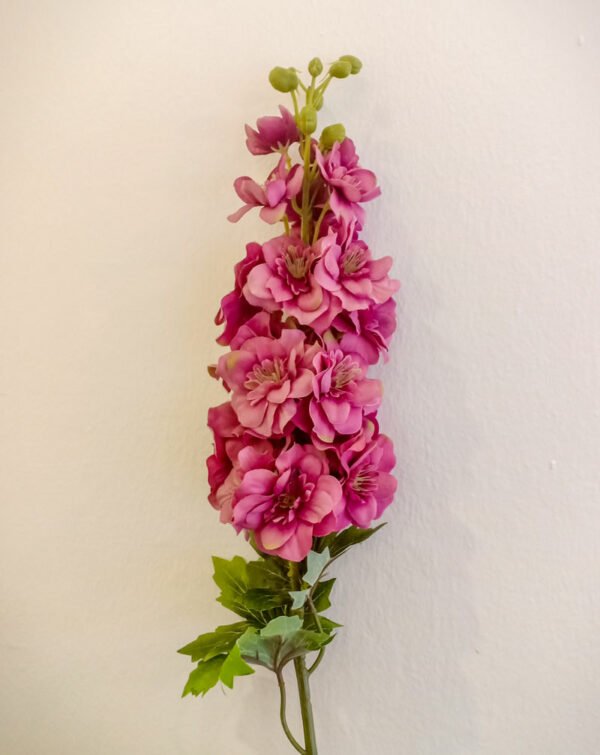 MTL102L Premium Matthiola Maroon