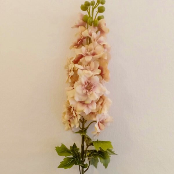 MTL104L Premium Matthiola Light Brown