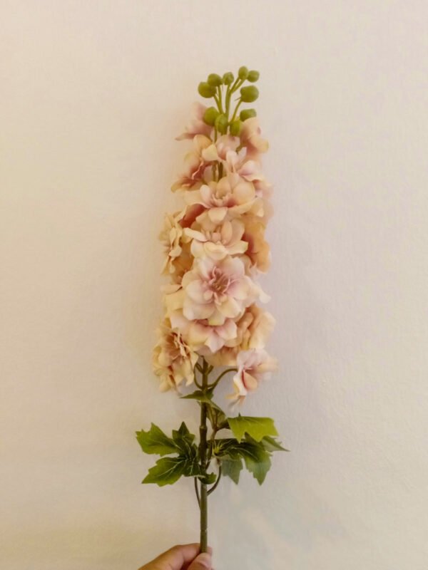MTL104L Premium Matthiola Light Brown