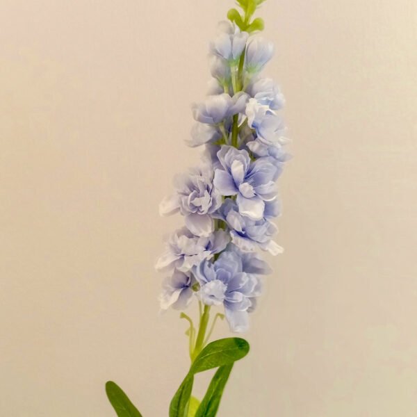 MTL004L Matthiola Baby Blue