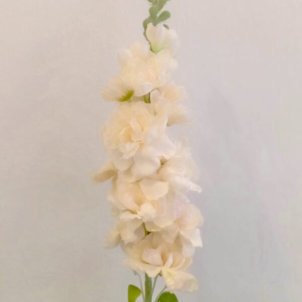 MTL005L Matthiola White