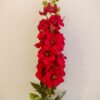 red-mathiola