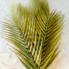 ACF502L Artificial Chicken Feather Green - Image 5