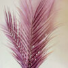 ACF602L Artificial Chicken Feather Purple