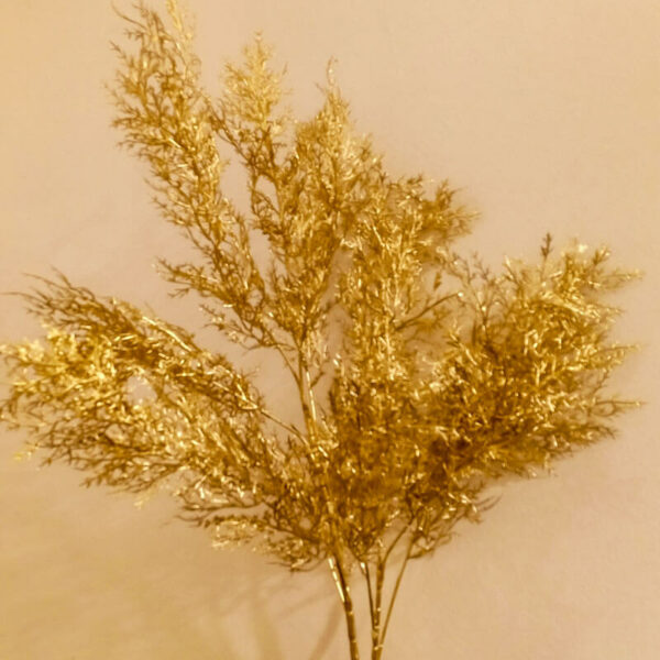 CHR705L Christmas Plant