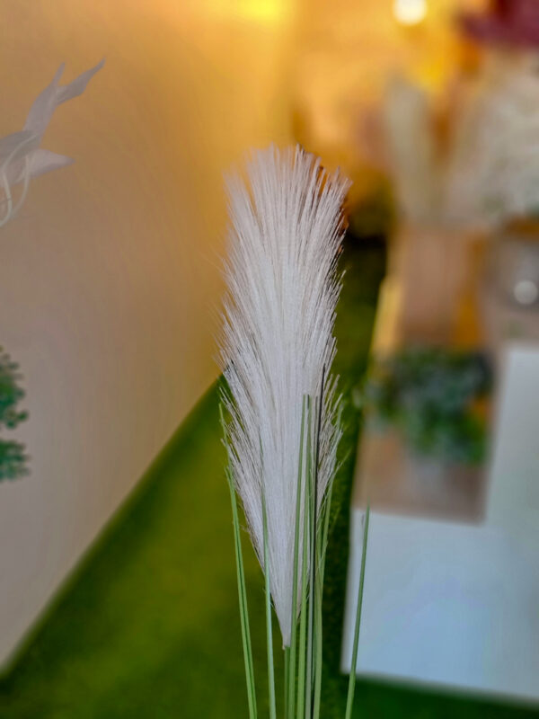 SPS802 Pampas Spray Cream - Image 2
