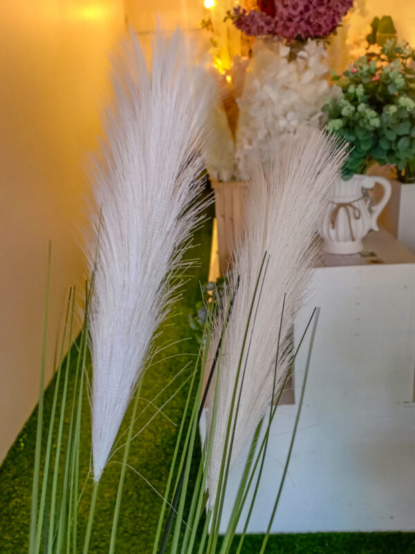 SPS802 Pampas Spray Cream - Image 3