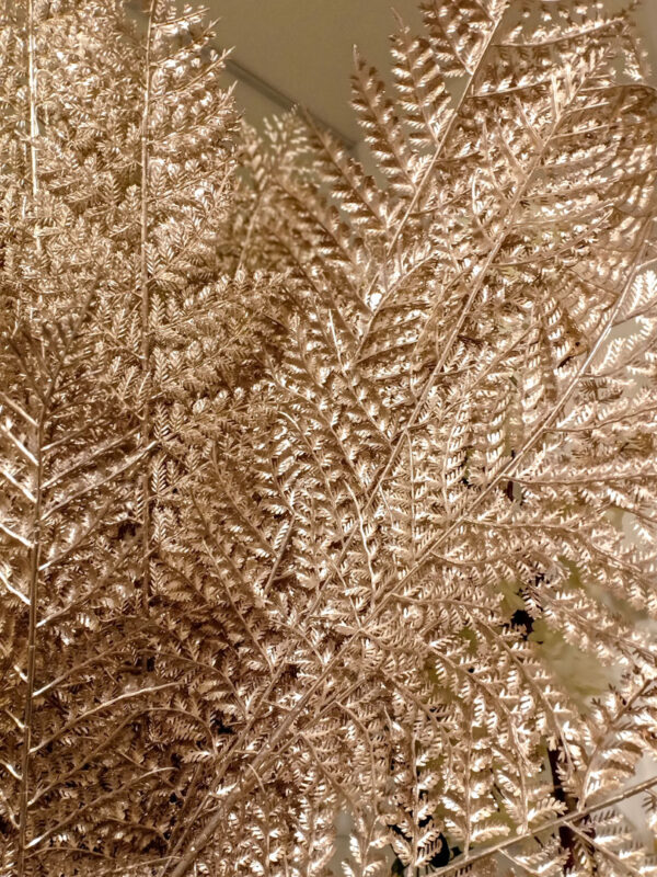 AFE706L Fern Rose Gold - Image 2