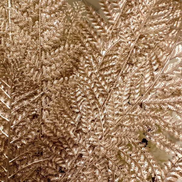 AFE706L Fern Rose Gold
