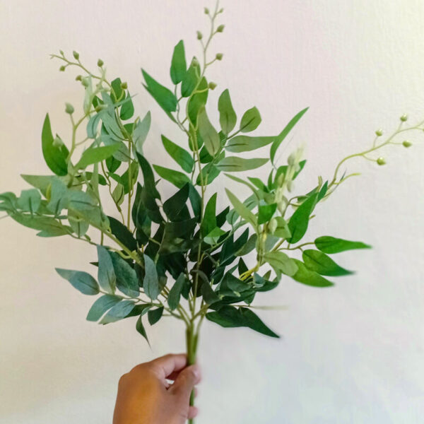 OLT502L Olive Tree