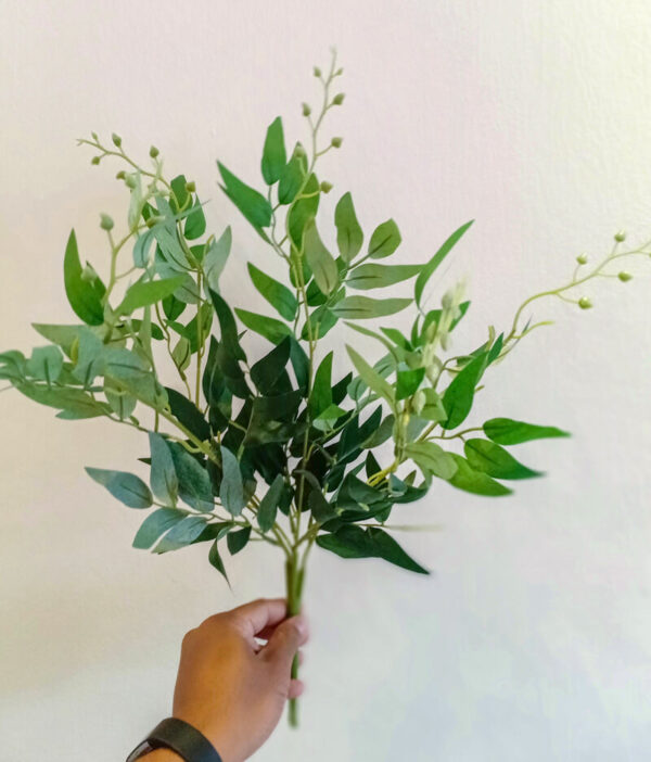 OLT502L Olive Tree