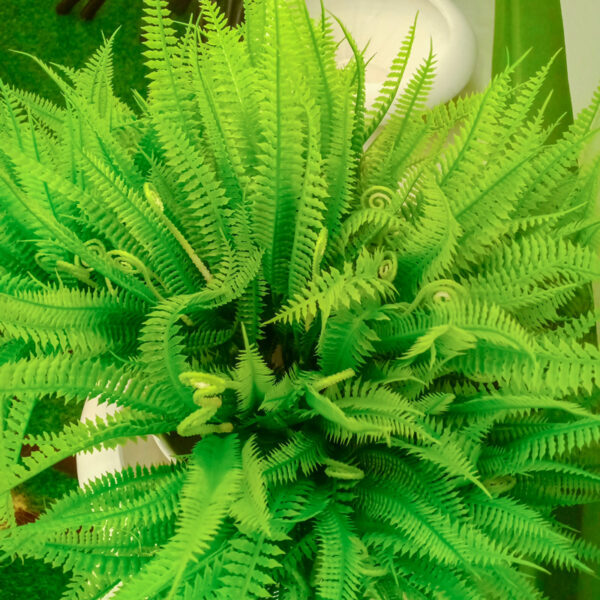 PFL502L Fern Leaves Bush - Image 3