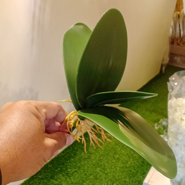 SOL502 Small Orchid Leaves