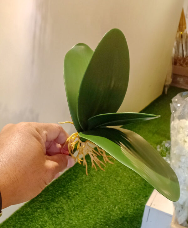 SOL502 Small Orchid Leaves