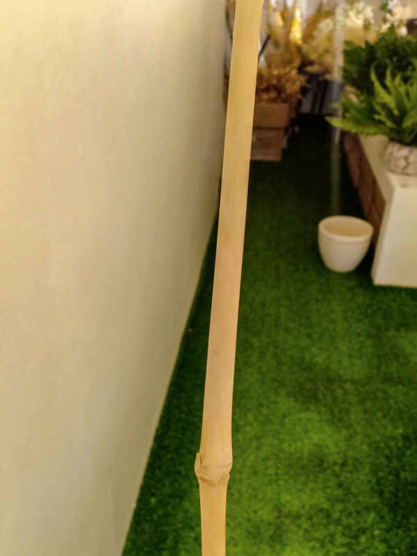 BST001 Bamboo Sticks - Image 4