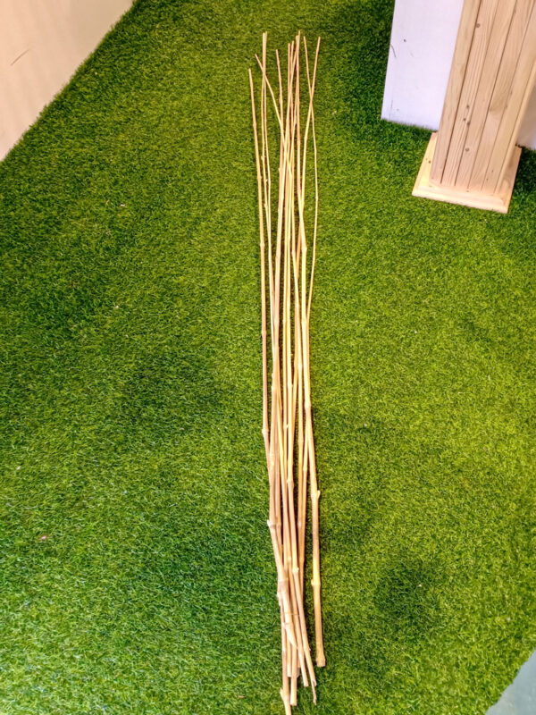 BST001 Bamboo Sticks - Image 3