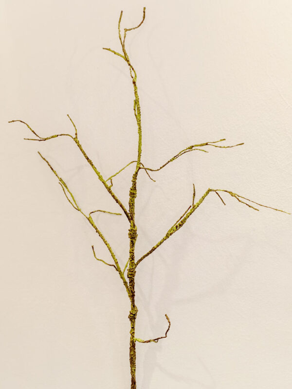 SSS502 Salix Stick Spray Green - Image 5
