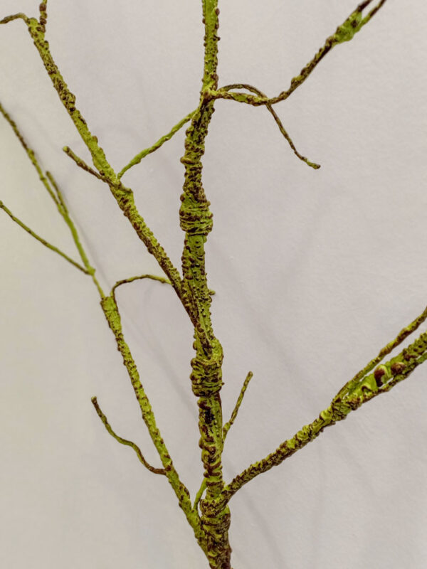 SSS502 Salix Stick Spray Green - Image 4
