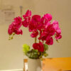 GBO903L Maroon Butterfly Orchid Spray - Image 4