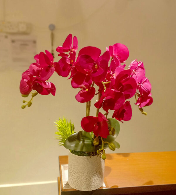 GBO903L Maroon Butterfly Orchid Spray - Image 4