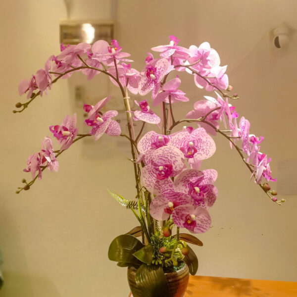 GBO603L Purple Polkadot Articial Orchid