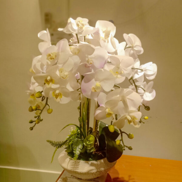 GBO101L2 Artificial Orchid 2 - White