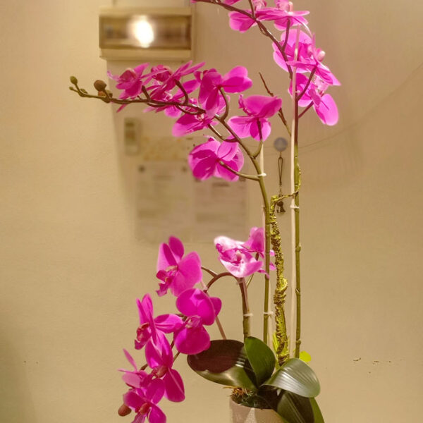 GBO602L Purple Artificial Orchid