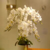 GBO101L3 Artificial Orchid 3 - White