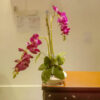 GBO601L2 Artificial Orchid 2 - Dark Purple