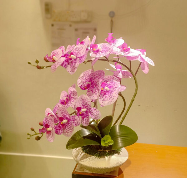 GBO603L2 Artificial Orchid 2 - Purple Polkadot