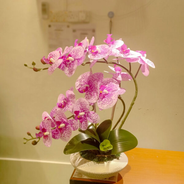 GBO603L2 Artificial Orchid 2 - Purple Polkadot