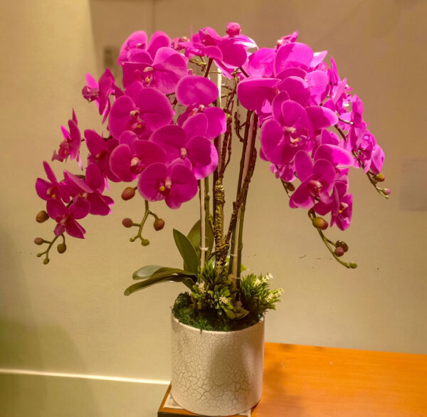 GBO602L2 Artificial Orchid 2 - Purple