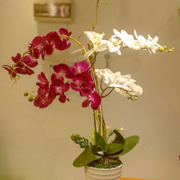 GBO601L3 Artificial Orchid 3 - Dark Purple+White