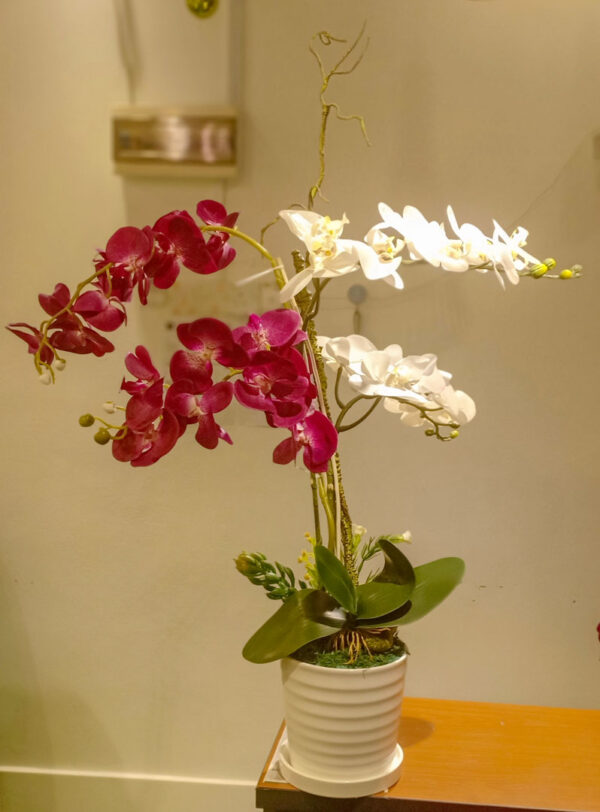 GBO601L3 Artificial Orchid 3 - Dark Purple+White