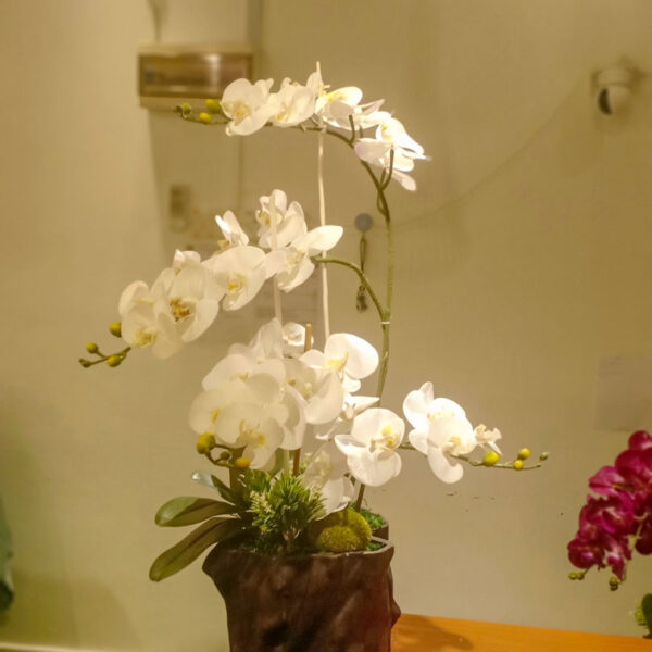 GBO101L5 Artificial Orchid 5 - White