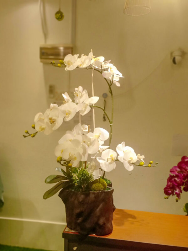 GBO101L5 Artificial Orchid 5 - White