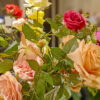 GBP101L Mix Artificial Prickly Rose - Image 3
