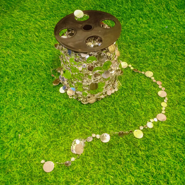 SCC707L Silver Coin Chain